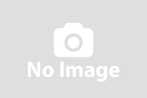 さいたま市エリアに特化した不動産売却