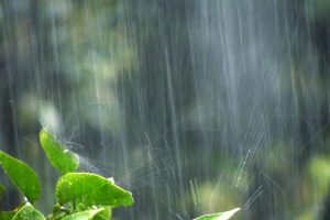 「水害」が多発・激甚化！自然災害リスクで不動産の価値が下がる？